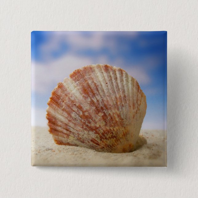 Bóton Quadrado 5.08cm Shell sustentado na areia (Frente)