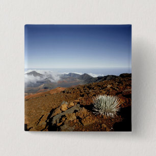 Bóton Quadrado 5.08cm Silversword no cume da cratera Haleakala de perto