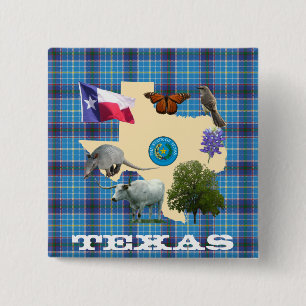 Bóton Quadrado 5.08cm Símbolos de estado de Texas