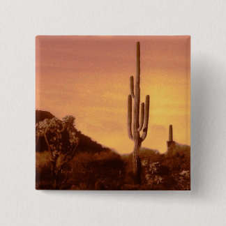 Bóton Quadrado 5.08cm Sol Sonoran