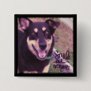 Bóton Quadrado 5.08cm Sorria para todos os cães