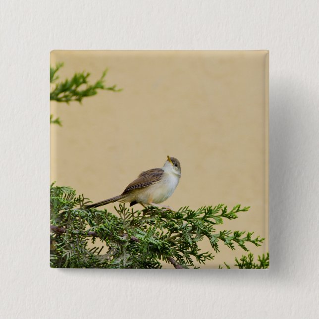 Bóton Quadrado 5.08cm Sparrow (Frente)