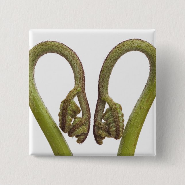Bóton Quadrado 5.08cm Sprouts 2 da samambaia (Frente)