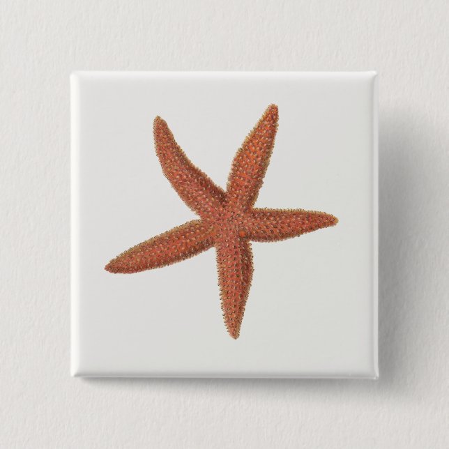 Bóton Quadrado 5.08cm Starfish - Sherman Denton Fish Lithograph (Frente)