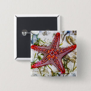 Bóton Quadrado 5.08cm Starfish, Zanzibar, Tanzânia