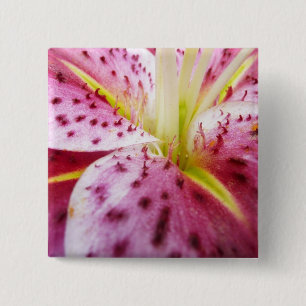 Bóton Quadrado 5.08cm Stargazer Lily Bright Magenta Floral