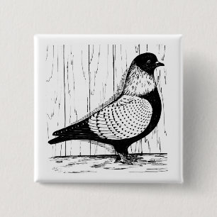 Bóton Quadrado 5.08cm Starling Pigeon Silver-laced 1979