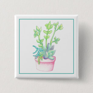 Bóton Quadrado 5.08cm Suculentos em Cute Potted