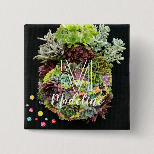 Bóton Quadrado 5.08cm Sucultivos Decorativos