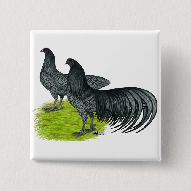 Bóton Quadrado 5.08cm Sumatra: Par Azul (Frente)