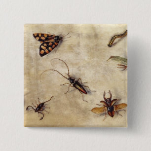 Bóton Quadrado 5.08cm T31567 um estudo de vários insetos, fruta e Anima