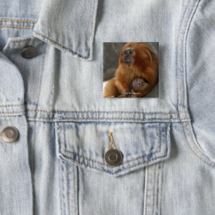 Bóton Quadrado 5.08cm Tamarin dourado do leão com bebê