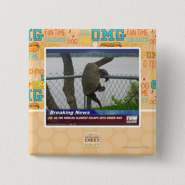 Bóton Quadrado 5.08cm Tartaruga de Excaping (Frente)