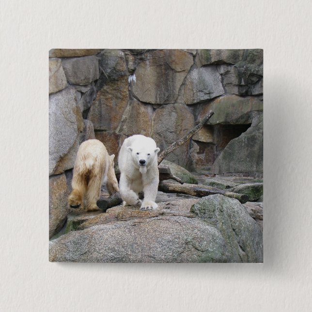Bóton Quadrado 5.08cm Tecla POLAR BEAR (Frente)