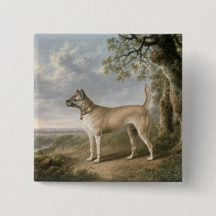 Bóton Quadrado 5.08cm Terrier em um trajeto em uma paisagem arborizada
