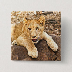 Bóton Quadrado 5.08cm Tigre Cub Leva O Breather Em Uma Pedra