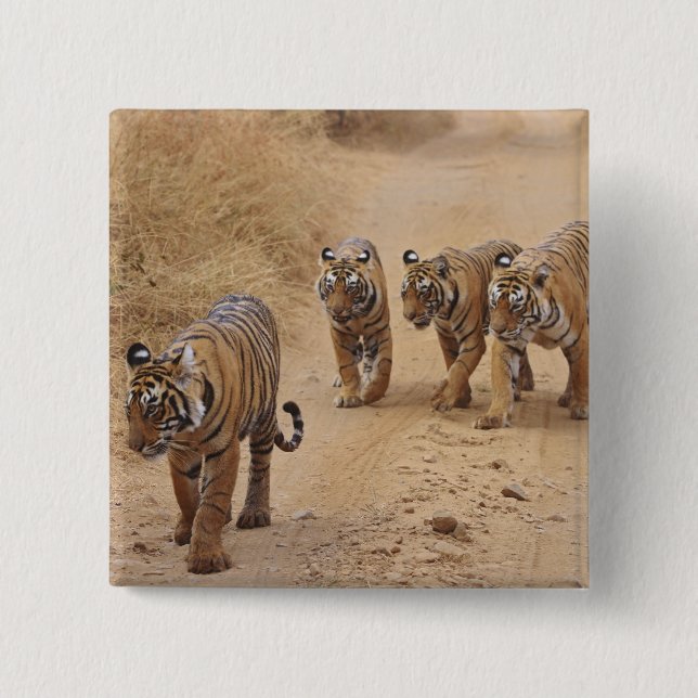 Bóton Quadrado 5.08cm Tigres de Bengala (Frente)