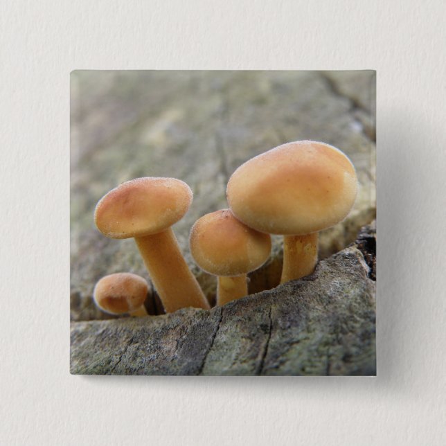 Bóton Quadrado 5.08cm Toadstools on a Tree Trunk Button (Frente)