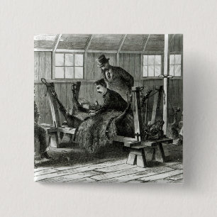 Bóton Quadrado 5.08cm Tomando o vírus da vitela