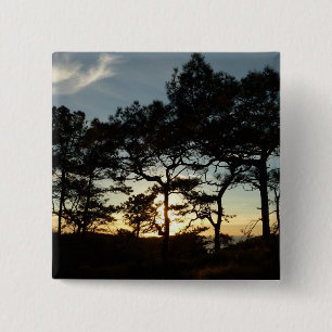 Bóton Quadrado 5.08cm Torrey Pine Sunset II, área da Califórnia