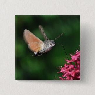 Bóton Quadrado 5.08cm Traça de colibri que paira