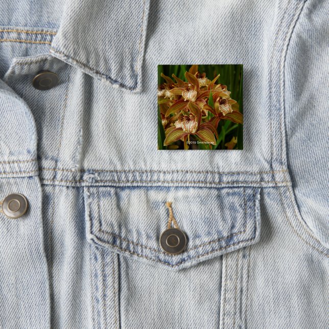 Bóton Quadrado 5.08cm Tracyanum do Cymbidium (In Situ)