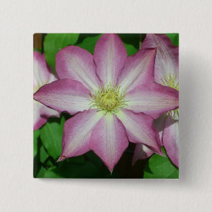 Bóton Quadrado 5.08cm Trio de Clematis