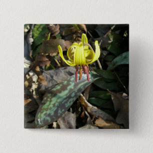 Bóton Quadrado 5.08cm Trout Lily Wildflower - Erythronium americanum
