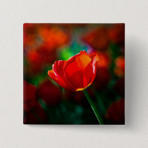 Bóton Quadrado 5.08cm Tulipa vermelha - Mistério de florescência