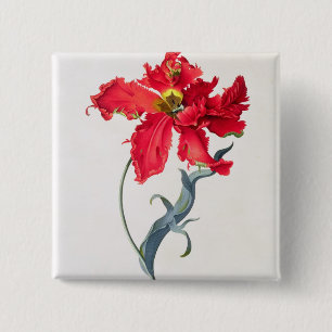 Bóton Quadrado 5.08cm Tulipa: Vermelho de Perroquet