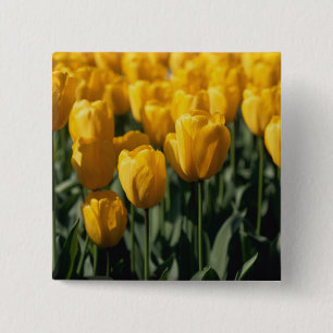 Bóton Quadrado 5.08cm Tulipas 3