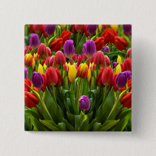 Bóton Quadrado 5.08cm Tulipas Bris