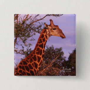 Bóton Quadrado 5.08cm Tutwa, girafa em Botswana, Button