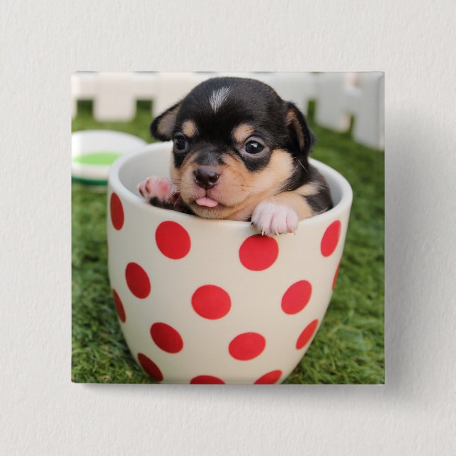 Bóton Quadrado 5.08cm Um cachorrinho no copo (Frente)