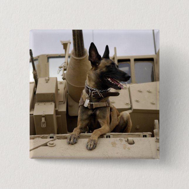 Bóton Quadrado 5.08cm Um cão de trabalho militar senta-se num M2A3 (Frente)