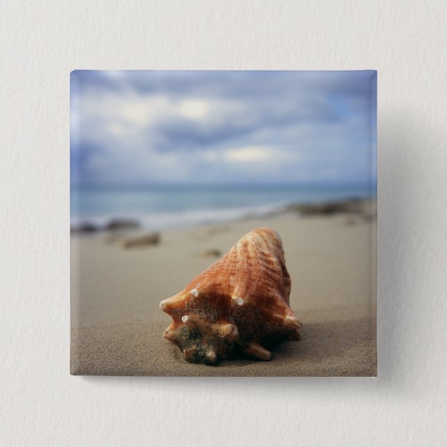 Bóton Quadrado 5.08cm Um Conch Shell no St. Croix da praia |, Usvi (Frente)