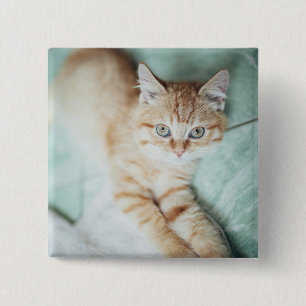 Bóton Quadrado 5.08cm Um gatinho dourado da cor que encontra-se para