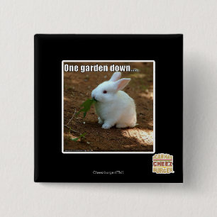 Bóton Quadrado 5.08cm Um jardim Down�