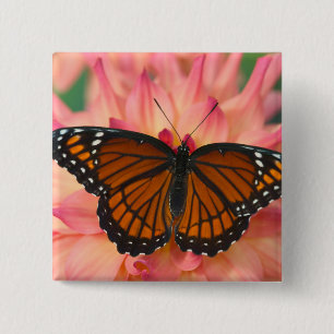 Bóton Quadrado 5.08cm Um Mimético da Borboleta Monarca
