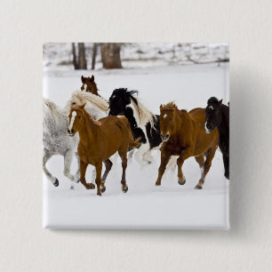 Bóton Quadrado 5.08cm Uma cena de inverno de cavalos correndo