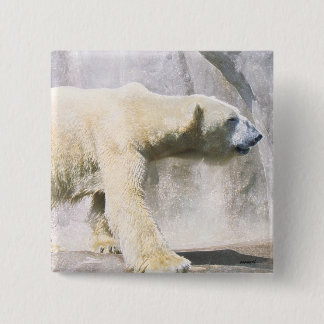 Bóton Quadrado 5.08cm urso polar