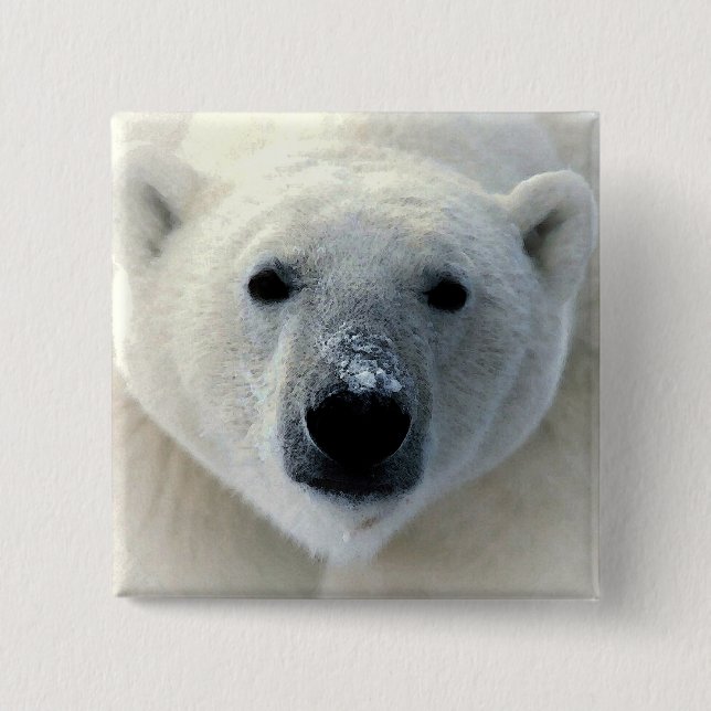 Bóton Quadrado 5.08cm Urso Polar (Frente)