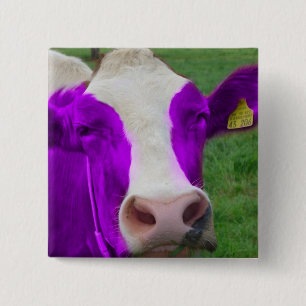 Bóton Quadrado 5.08cm vaca