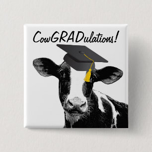 Bóton Quadrado 5.08cm Vaca engraçada da graduação dos parabéns no bo