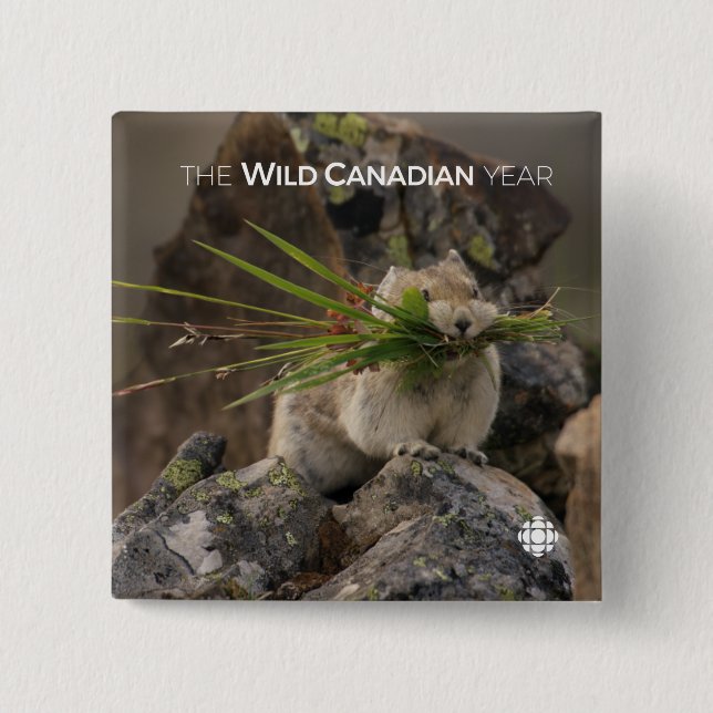 Bóton Quadrado 5.08cm Verão - América Latina (Frente)