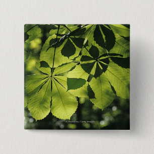 Bóton Quadrado 5.08cm Verde sete folhas do ponto com iluminação de Sun