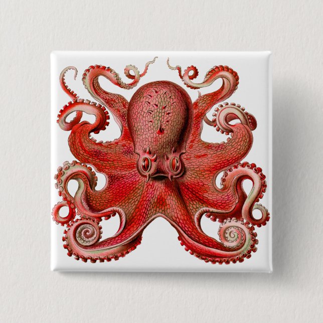 Bóton Quadrado 5.08cm Vermelho Octopus Haeckel (Frente)