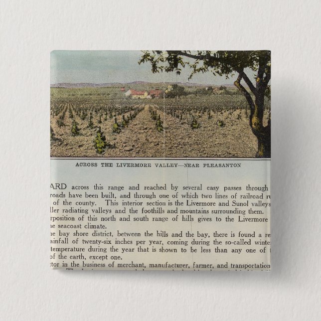 Bóton Quadrado 5.08cm Verso Alameda (Frente)