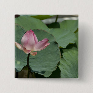 Bóton Quadrado 5.08cm Vietnã, perto de Saigon) Meu Tho. Vinh Trang 2