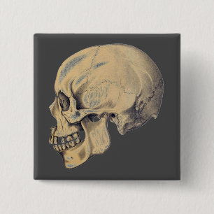Bóton Quadrado 5.08cm Vintage Skull Anatomy Illustration